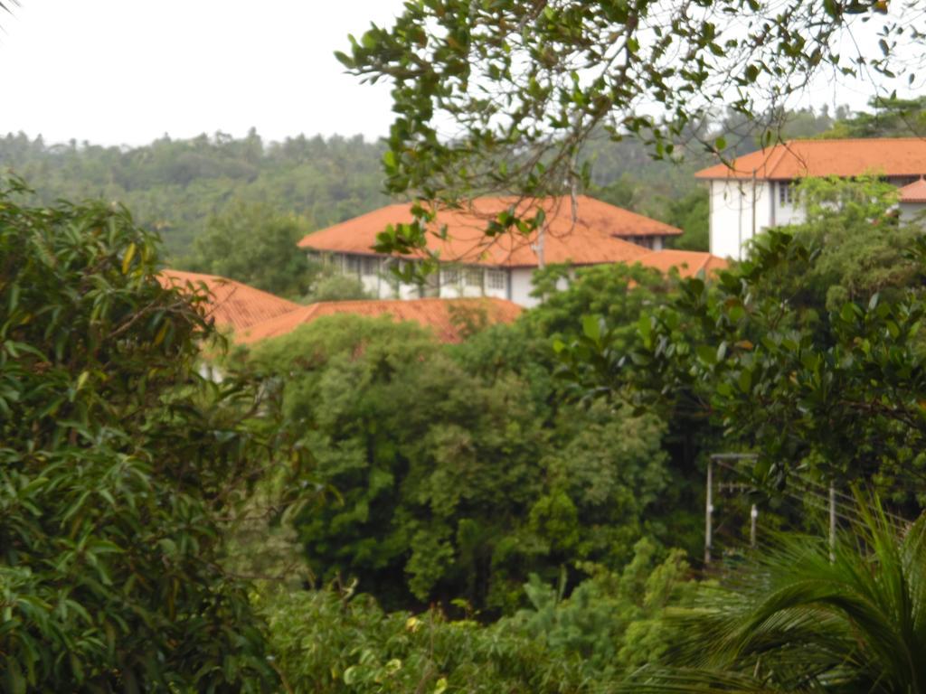 Mount View Villa Resort Мірісса Екстер'єр фото